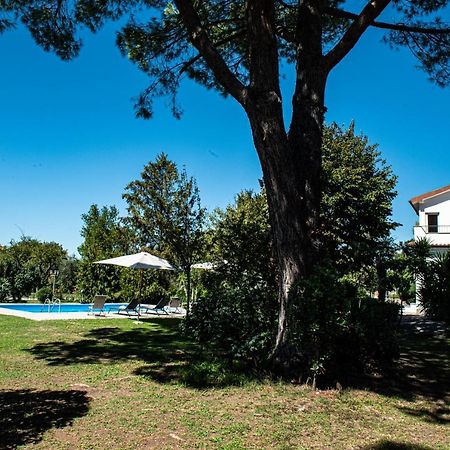 Terre Etrusche Guest House-Terme -3 Minuti Da Viterbo Centro Ngoại thất bức ảnh