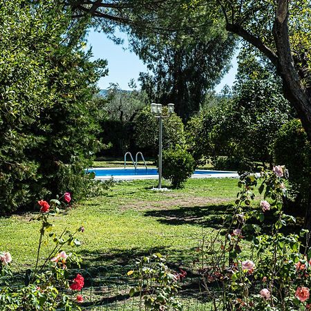 Terre Etrusche Guest House-Terme -3 Minuti Da Viterbo Centro Ngoại thất bức ảnh