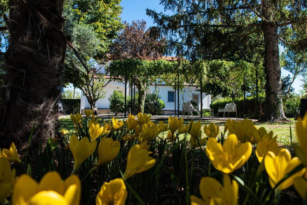 Terre Etrusche Guest House-Terme -3 Minuti Da Viterbo Centro Ngoại thất bức ảnh