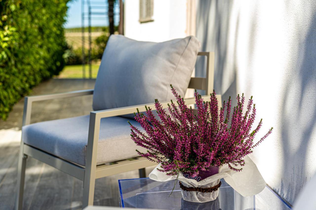 Terre Etrusche Guest House-Terme -3 Minuti Da Viterbo Centro Ngoại thất bức ảnh